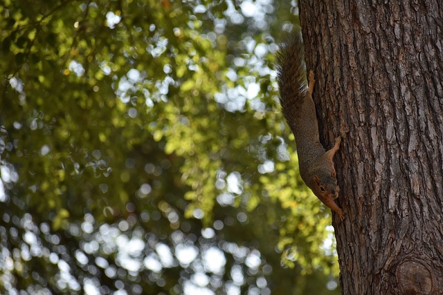 迅速地提升 迅速地提升