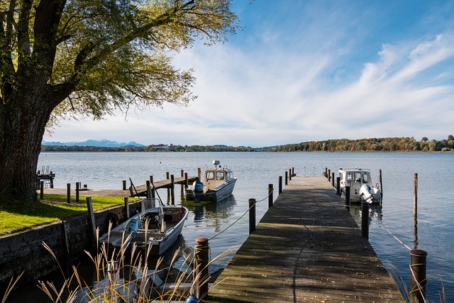 的表现正是 的表现正是