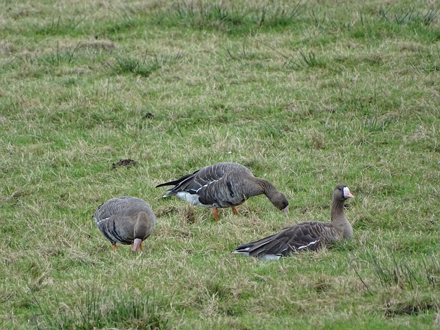 担纲锋线冲 担纲锋线冲