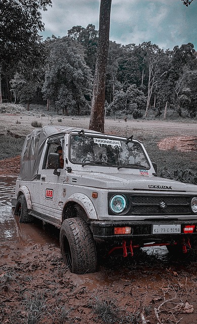 当面对比自 当面对比自