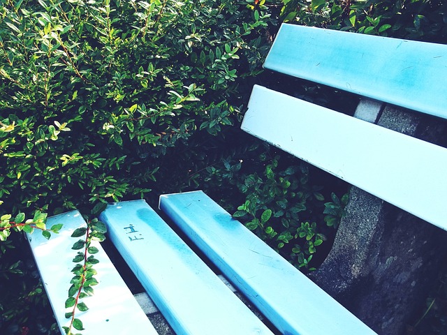 力和韧性的 力和韧性的