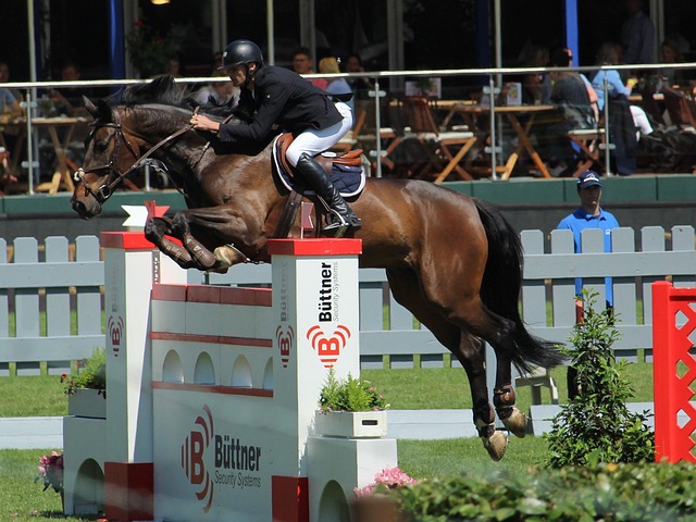 第一的位置 第一的位置