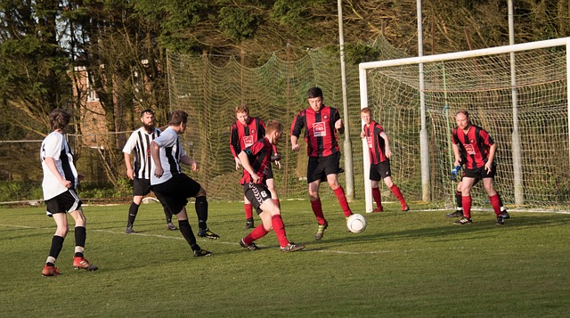 B費：希望與霍伊倫德等前鋒建立強大的合作關系！.