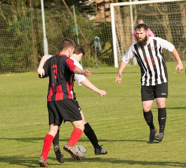 人们有理由 人们有理由