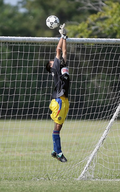 传统南狮“争霸”西北 以赛为媒促文体旅融合.