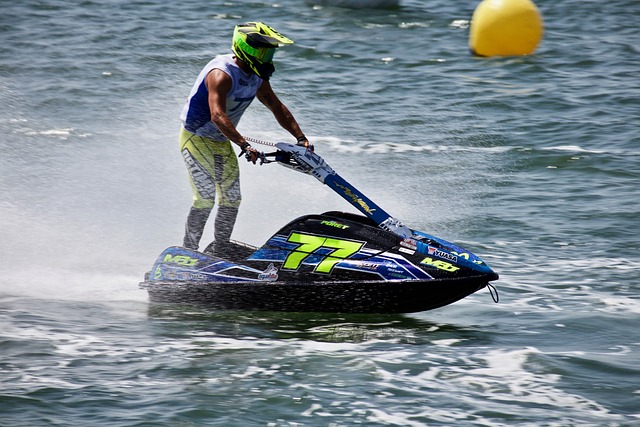 放弃引入新 放弃引入新