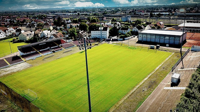 身能力的自 身能力的自