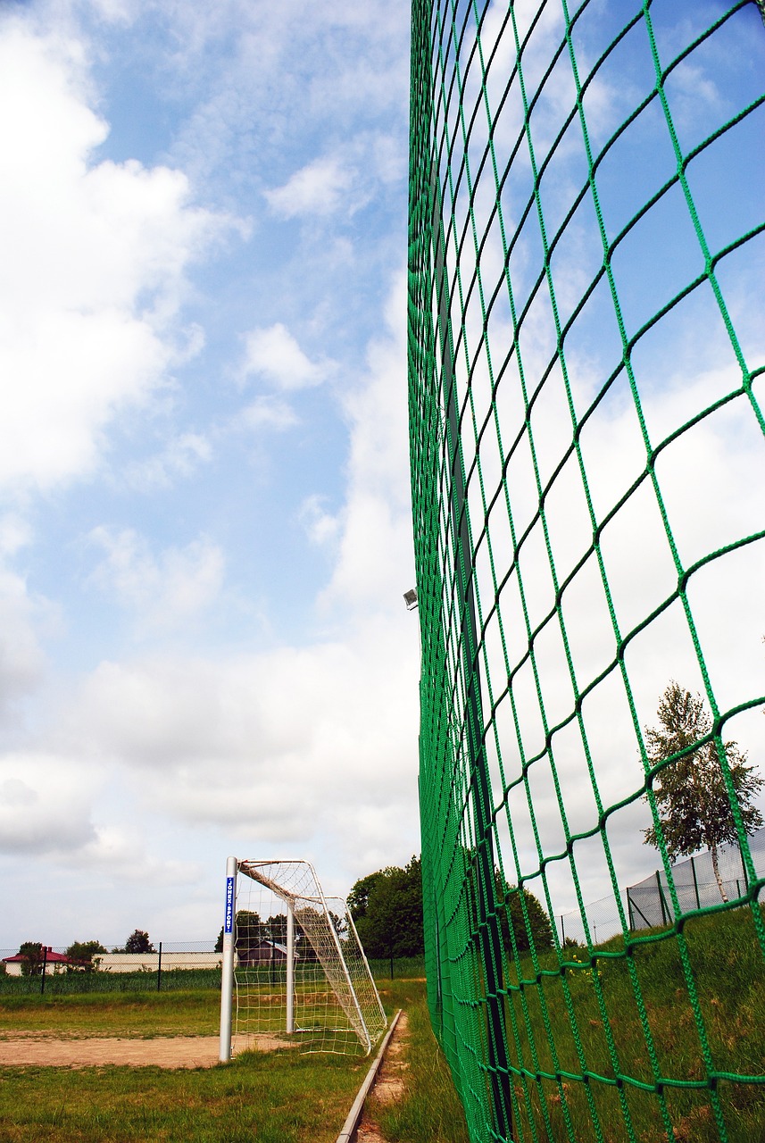 仅是对篮球 仅是对篮球